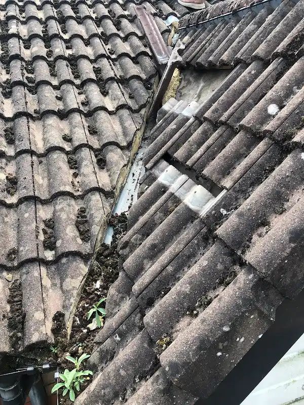 Roofing driveway paving installation 10