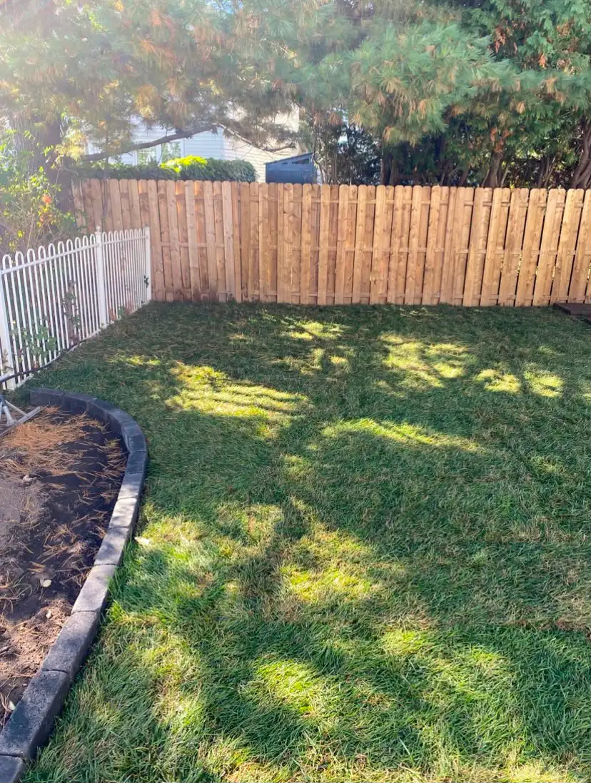 Sod Grass