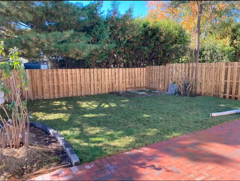 Premium Sod Grass in Ottawa