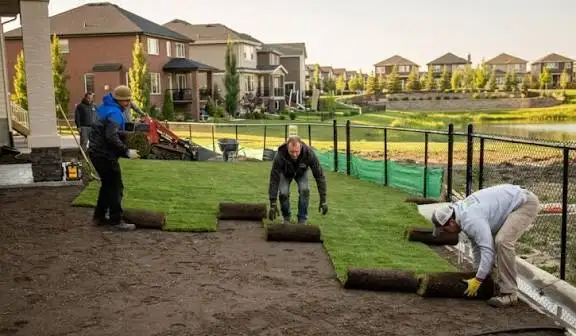 Why Choose Our Sod Grass Services? project gallery image 5